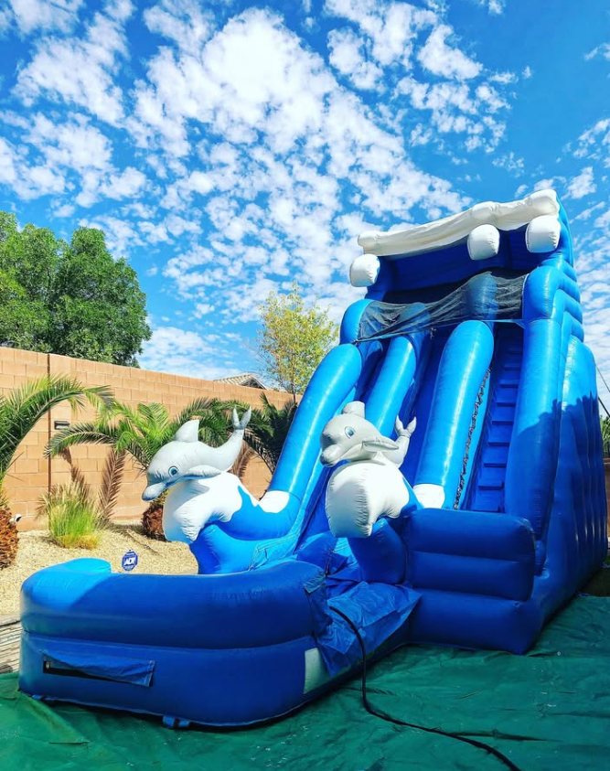 20′ Dual Lane Dolphin