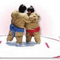 Padded Sumo Suits Interactive