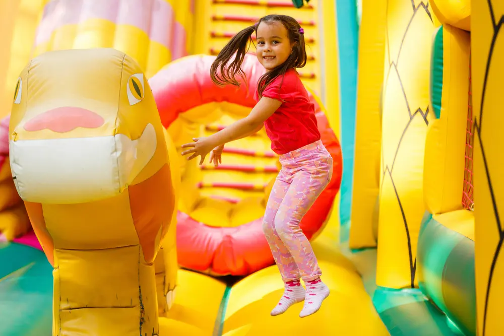 Themed Adventures: Exploring the Variety of Bounce House Options